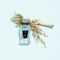 !!! DREAMING OF YOU, ME - 50 ml (Nieuw 50€)