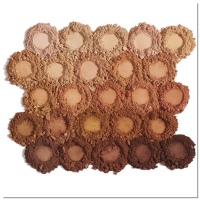 TOUCH complexion+ pressed powder foundation - Verschillende Kleuren (Nieuw 48,50€)