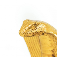 Slang - Goud - 13x9.5x18cm - HouseVitamin 