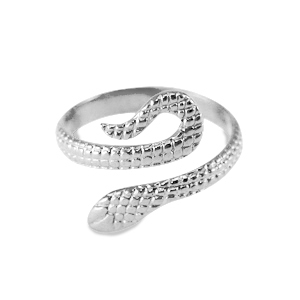 Zilver - Ring - Stainless steel - (318)