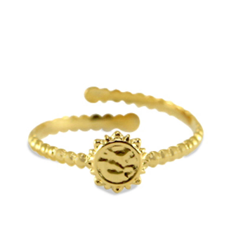 Goud - Ring - Stainless steel - (335)
